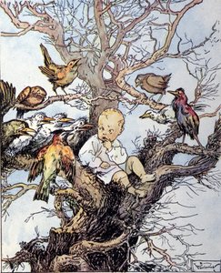 Illustration pour « La storia di Peter Pan », fable de James Matthew Barrie - Gustavo Gustavino Rosso