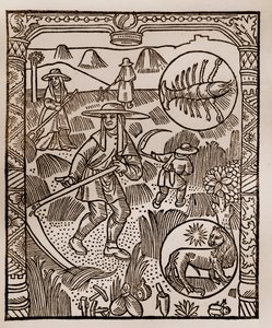 Calendrier des bergers - Les travaux des mois - Juillet - Gravure sur bois du livre de 1496 imprimé par Guy Marchant (Guido Mercator) à Troyes - Foin, la coupe des foins - Gravure sur bois dans « Le grand Calendrier et compost des bergers »