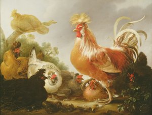 Coq et poules dans un paysage, 1649 - Gysbert Hondecoeter