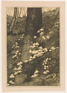 Champignons dans une forêt - H.C. Spruit (signed by artist)