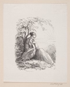 Illustration de "Les cygnes sauvages" dans H.C. Andersen, "Contes et histoires", Tome 1 - H.P. Hansen