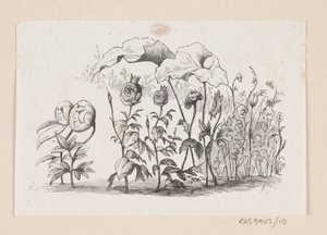 Illustration de "Den lille Idas Blomster" dans H.C. Andersen, "Contes et histoires", Tome 1 - H.P. Hansen