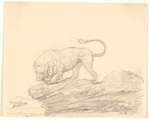 Un lion sur un rocher. Il regarde un oiseau volant - H.W. Bissen