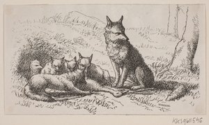 Illustration pour : "M. Mikkel" - H. C. Henneberg