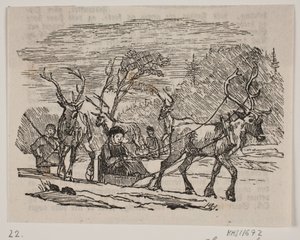 Traîneau avec des rennes - H. C. Henneberg
