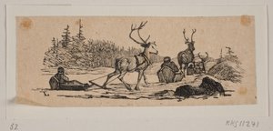 Course en traîneau avec des rennes - H. C. Henneberg