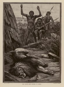 Chasse au lion en Afrique (gravure) - H. Dixon