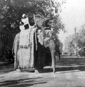 Un éléphant devant la gare de Delhi, Inde, années 1900 - H. Hands and Son