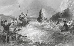 La baleine sur le rivage (gravure) - H. Melville