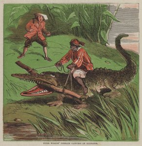 Le camarade de Peter Wilkins capture un alligator (lithographie en couleur) - after Hablot Knight Browne