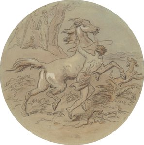 Un des dix-huit dessins pour une série de planches illustrant Vénus et Adonis - Hablot Knight Browne