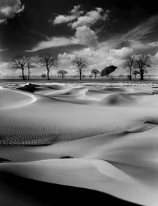 Pluies acides