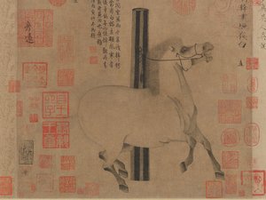Cheval blanc brillant dans la nuit