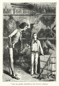 Unac était très étonné par la collection du docteur (gravure) - Hans (after) Meyer