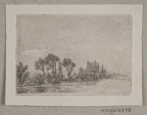 Paysage avec des arbres près de l