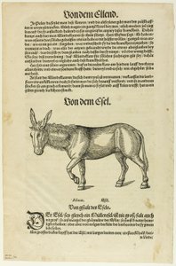 Illustration du "Thierbuch", planche 42 des gravures sur bois des livres du XVIe siècle. - Hans Asper