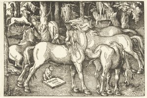 Groupe de sept chevaux et un singe - Hans Baldung Grien