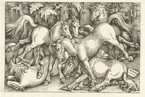 Groupe de sept chevaux combattants - Hans Baldung Grien