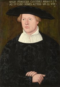 Portrait de Wolff Fürleger - Hans Brosamer