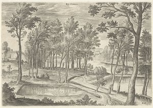 Vue des étangs de Ter Kameren