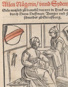 Page de titre de New Modelbüch allen Nägerin u. Sydenstickern, 1r, 1556