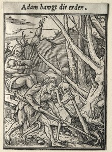 La danse macabre : Adam labourant la terre - Hans Holbein