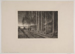 Jour de pluie dans la forêt de sapins - Hans Julius Fæster