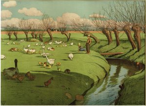 Prairie aux oies - Hans Richard von Volkmann