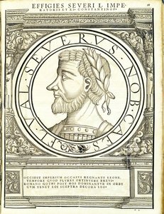 Seuerus D, illustration de 