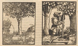 Arbre et représentation d
