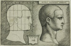 Étude de profil de la tête d