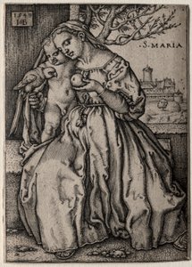 Vierge au perroquet (1549) - Hans Sebald Beham