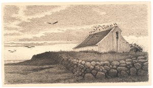 Motif de Karup. Les cigognes se rassemblent pour le voyage. Coucher de soleil