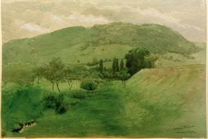 Paysage de la Forêt-Noire