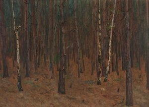 Intérieur de forêt