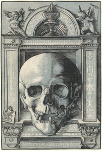 Crâne