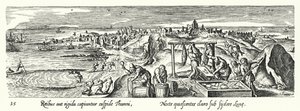 Attraper, nettoyer, cuisiner et stocker le thon - Hans after Bol