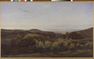 Collines de bruyère près de Rye, Jutland - Harald Foss