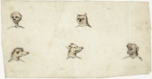 Têtes de quatre animaux et un squelette - Harmen ter Borch