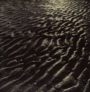 ... le sable de mer côtelé, Coleridge (photo n/b)