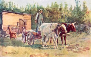La cabane d