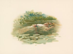 Ophélie, noyée - Harold Copping