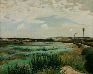 Marais de Marazion - Harold Harvey