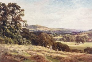 Un champ de foin, Wonersh