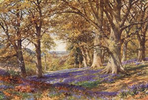 Une pente de jacinthes, Hascombe