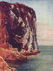 Bass Rock, 1910 - Harold Sutton Palmer