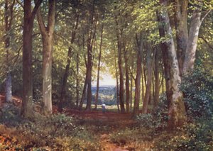 Deer-Leap Wood, Wotton - Harold Sutton Palmer