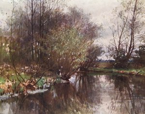 Le ruisseau du moulin, Ockham