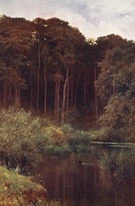 Profondeurs boisées, Wotton - Harold Sutton Palmer