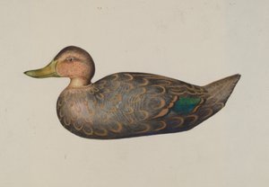 Canard Leurre